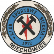 Logo Silesii Miechowice